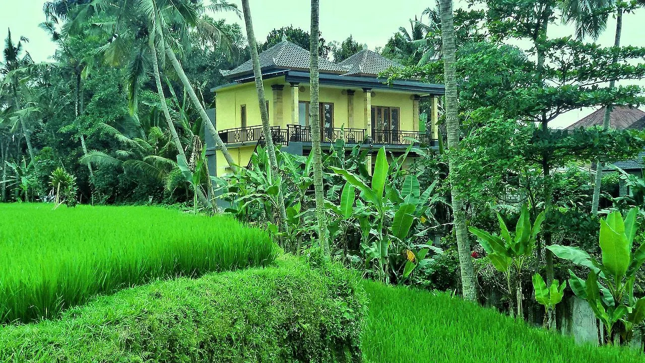Homestay Kencana House Ubud Apartment